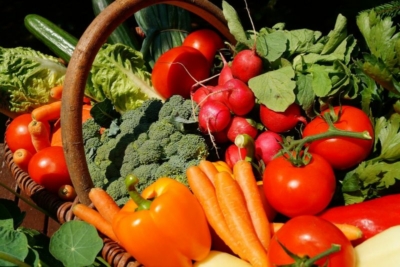 warzywa w koszu - NUTRITECH – dotacje dla projektów B+R w zakresie zdrowego żywienia